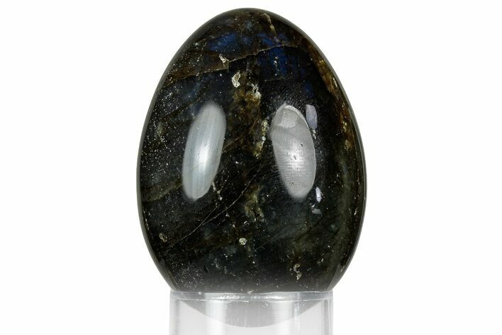 Flashy, Polished Labradorite Egg - Madagascar #356472